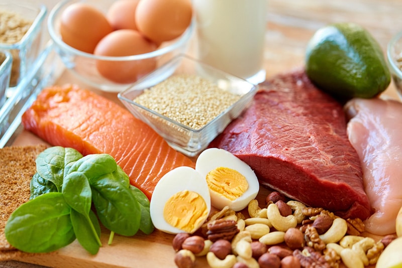 เลือกกินโปรตีนอย่างไร เมื่อเป็นโรคไขมันในเลือดสูง