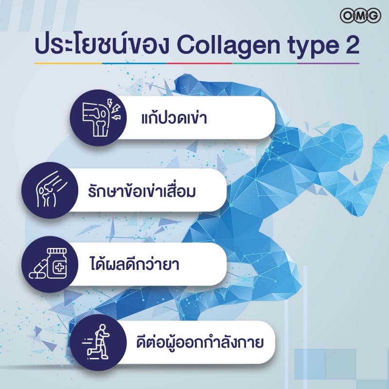 ประโยชน์ Collagen type 2