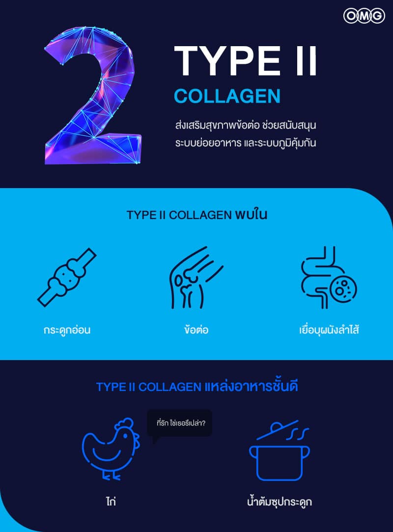 คอลลาเจนไทพ์ทู Collagen type 2